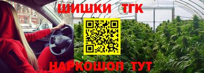 стаф Усть-Илимск