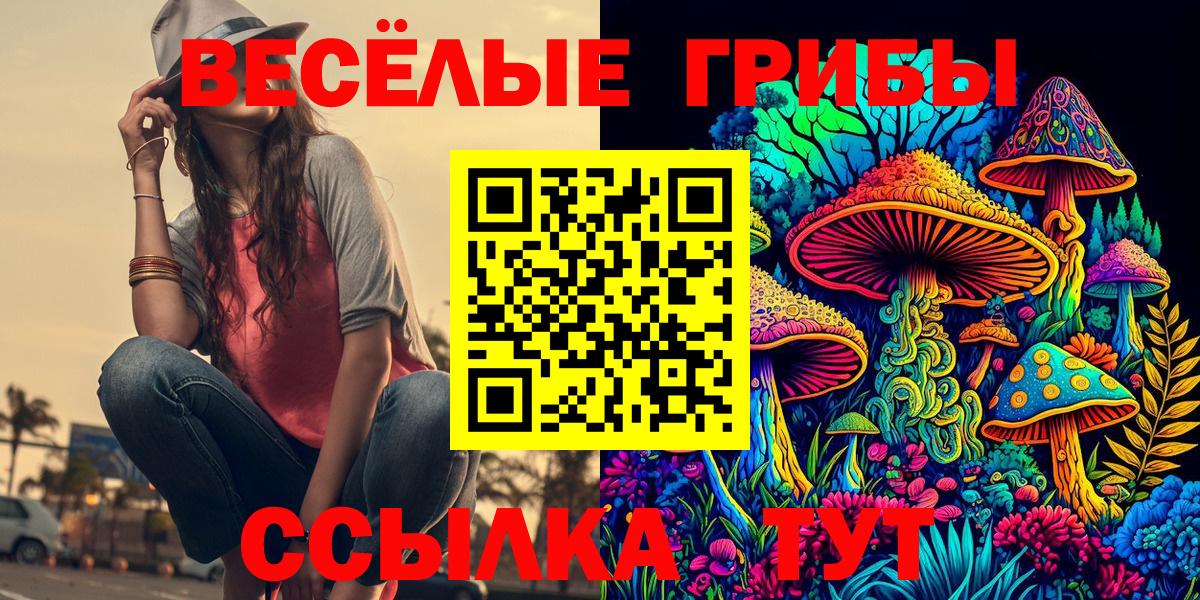 Люберцы  Псилоцибиновые грибы прущие грибы  Псилоцибиновые грибы GOLDEN TEACHER  Вход с VPN 