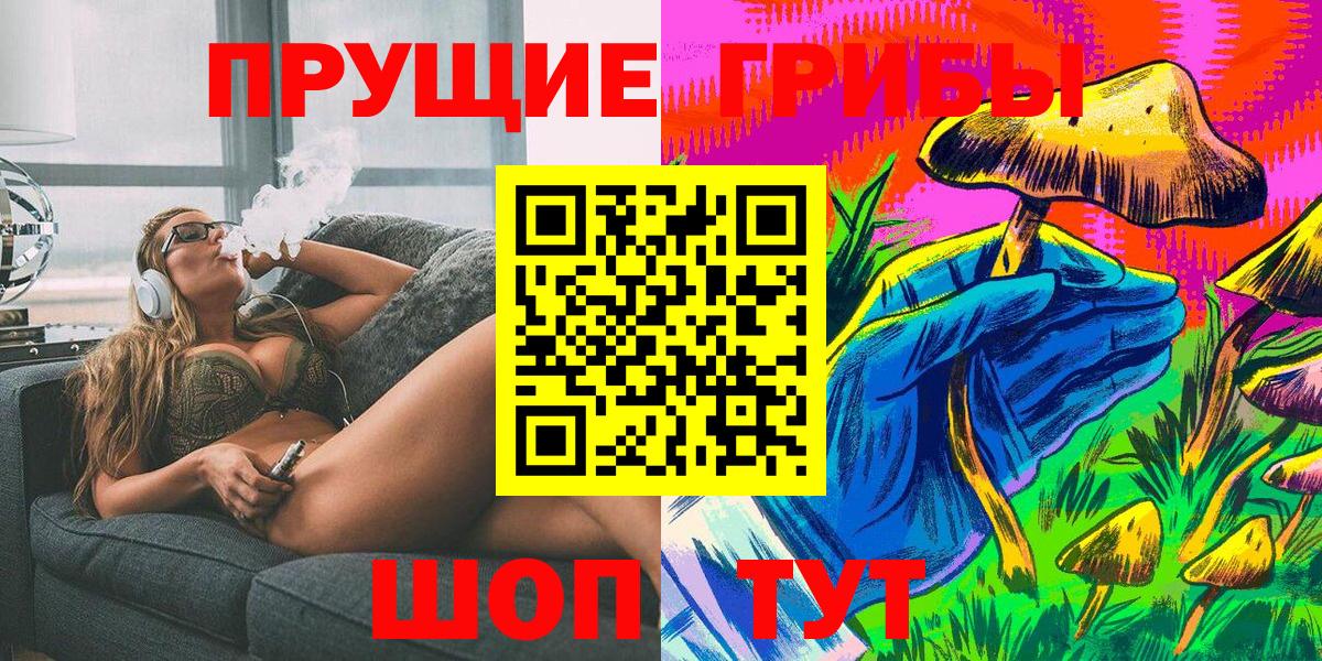 Галлюциногенные грибы Psilocybe Люберцы